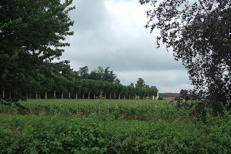 2010-06- (8).JPG